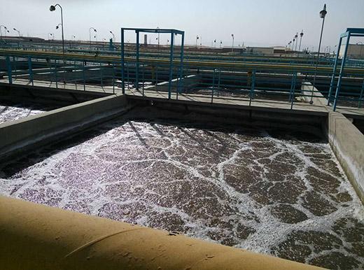 丰满人妻厨房无码69麻豆 丰满人妻厨房无码69麻豆